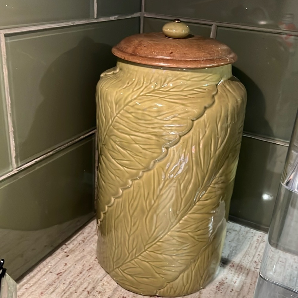 Pier 1 large Canister 13x8 Olive Green